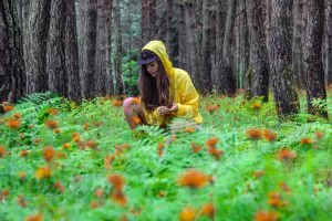 A young woman sitting in greenery in a forest