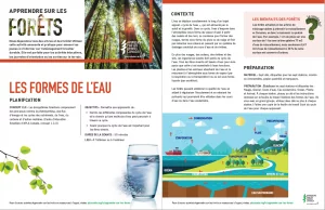 Screenshot of activity