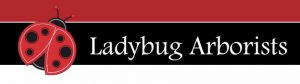 Ladybug arborists logo