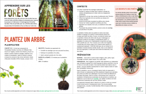 Screenshot of activity