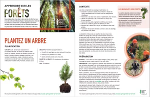 Screenshot of activity