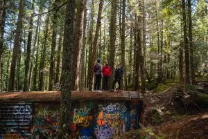 3 young people stand on top of a train wreck in a forest