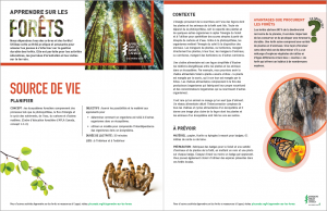 Screenshot of activity