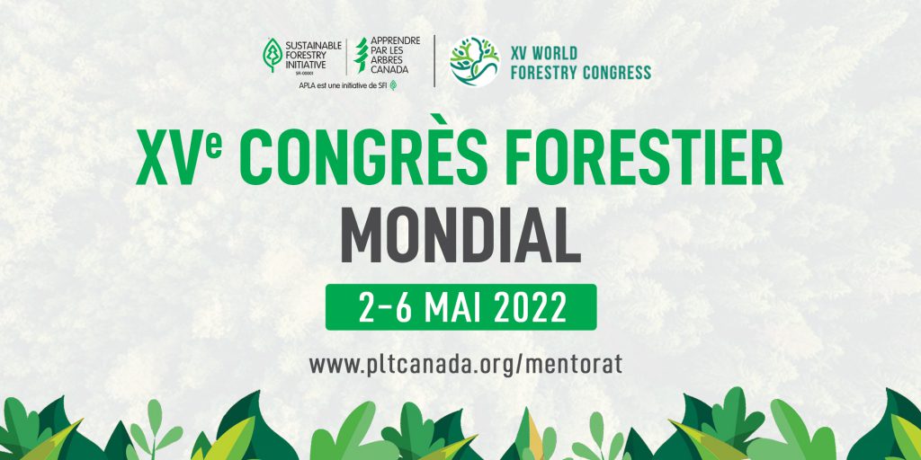 World forestry congress logo