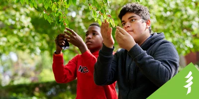 Two boys looking at the leaves on a tree