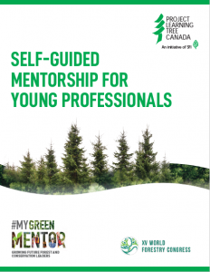 Cover of the self-guided mentorship for young professionals guide