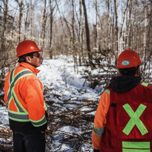 Two men in hard hats and high vis gear looking at a forest