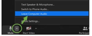 Leave computer audio Zoom screenshot