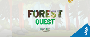 Forest Quest