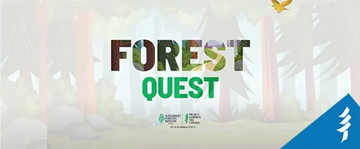 Forest Quest