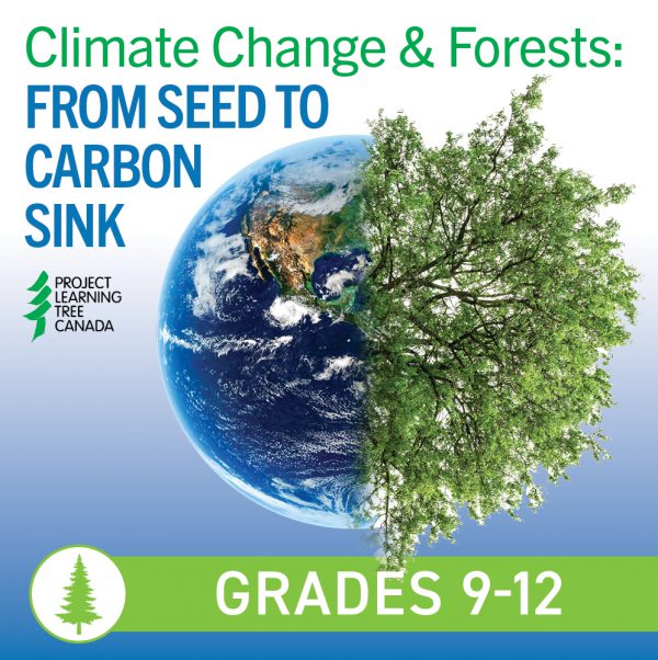 climate change and forests: from seed to carbon sink