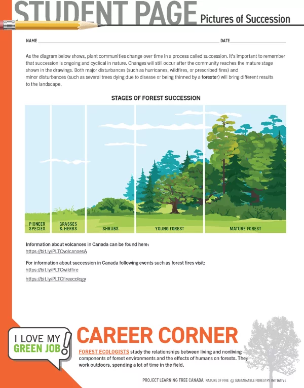 Student Page Sample. Pictures of Succession. As the diagram below shows, plant communities change over time in a process called succession. It’s important to remember that succession is ongoing and cyclical in nature. Changes will still occur after the community reaches the mature stage shown in the drawings. Both major disturbances (such as hurricanes, wildfires, or prescribed fires) and minor disturbances (such as several trees dying due to disease or being thinned by a forester) will bring different results to the landscape. Information about volcanoes in Canada can be found here: https://bit.ly/PLTCvolcanoesA For information about succession in Canada following events such as forest fires visit: https://bit.ly/PLTCwildfire https://bit.ly/PLTCfireecology PIONEER SPECIES GRASSES & HERBS SHRUBS YOUNG FOREST MATURE FOREST STAGES