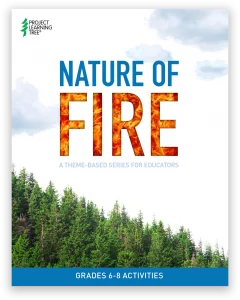 Nature of Fire