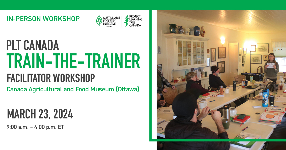 promo image for workshop