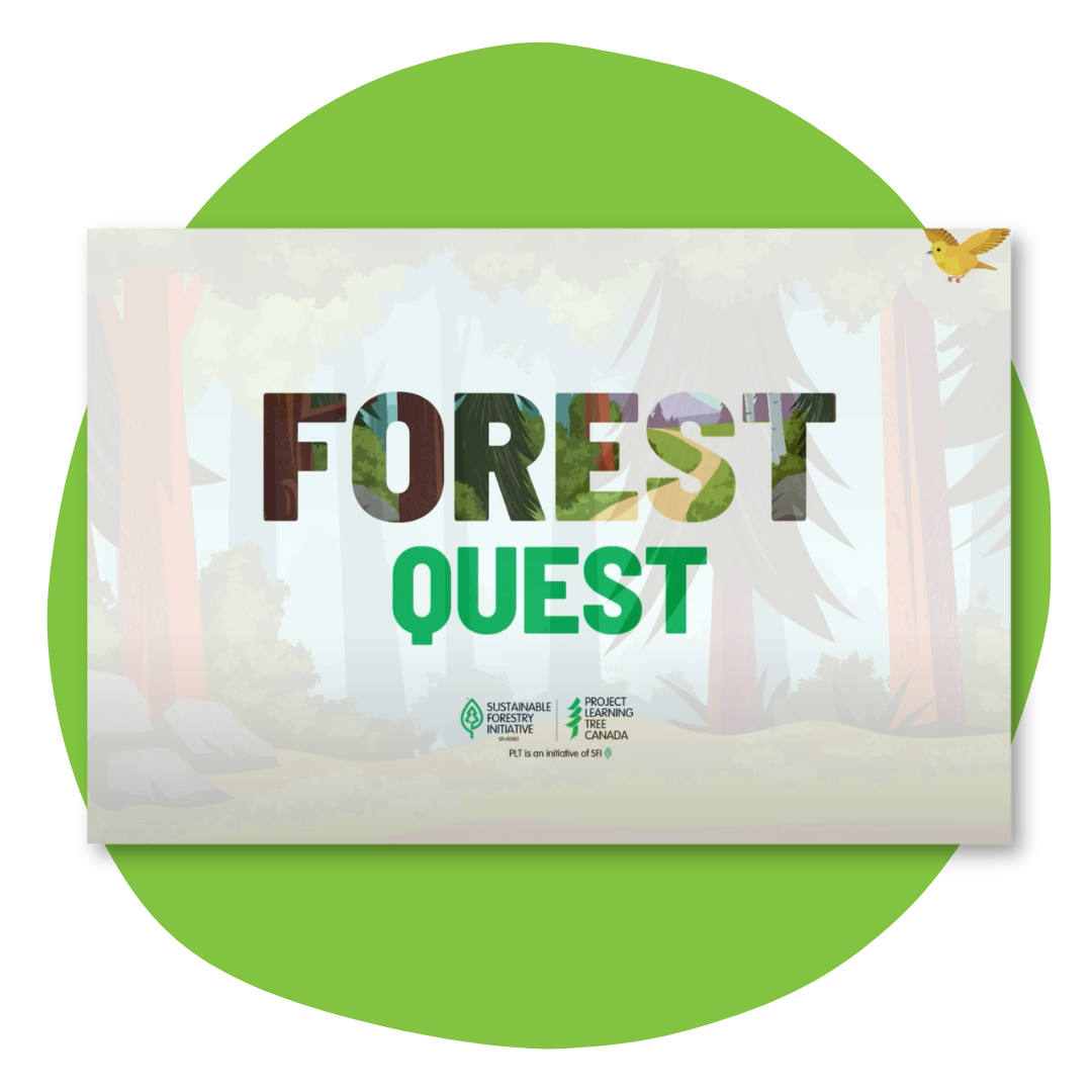 Forest quest