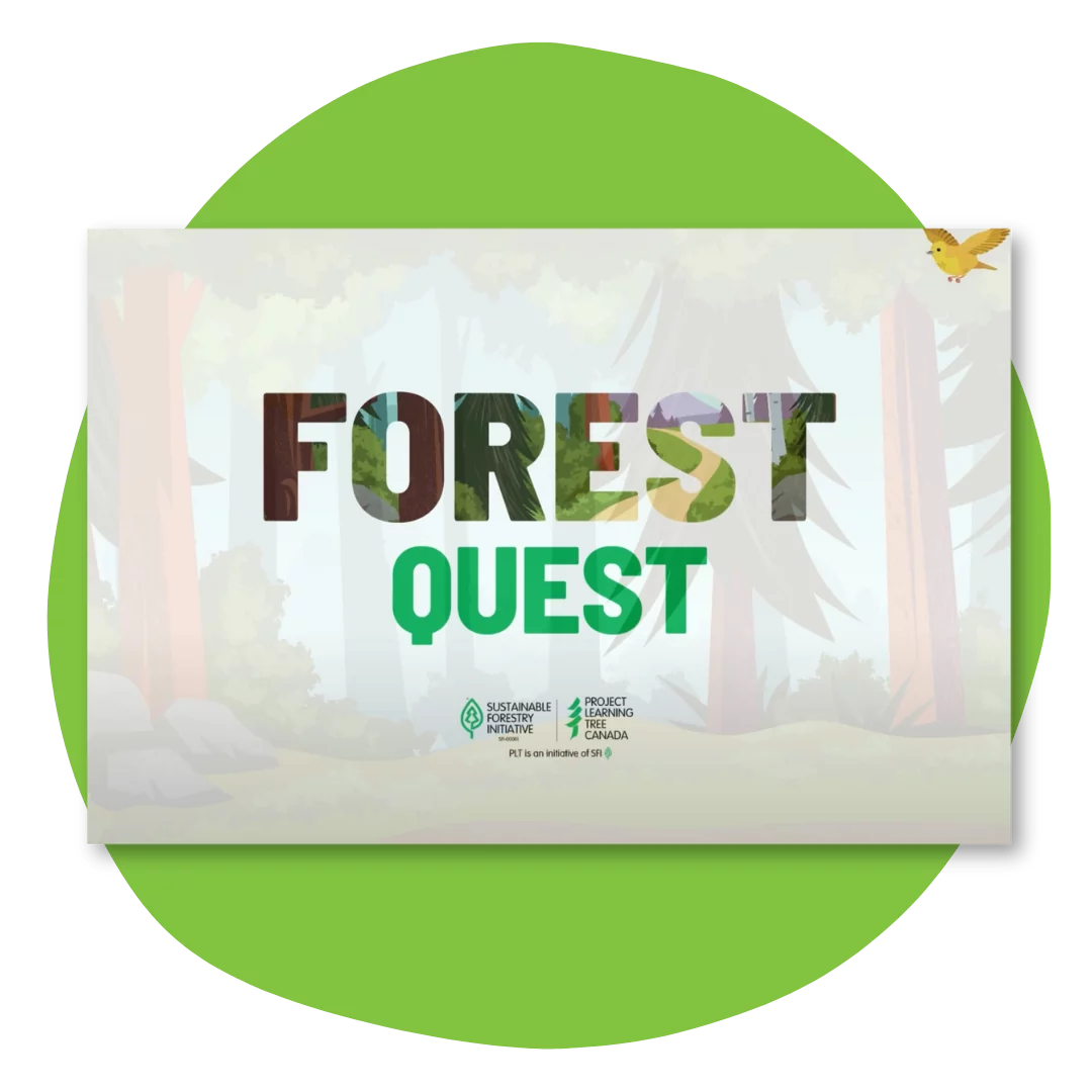 Forest quest