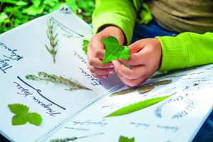 Nature journal