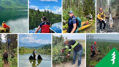 eight small images of people outdoors, kayaking, in forests